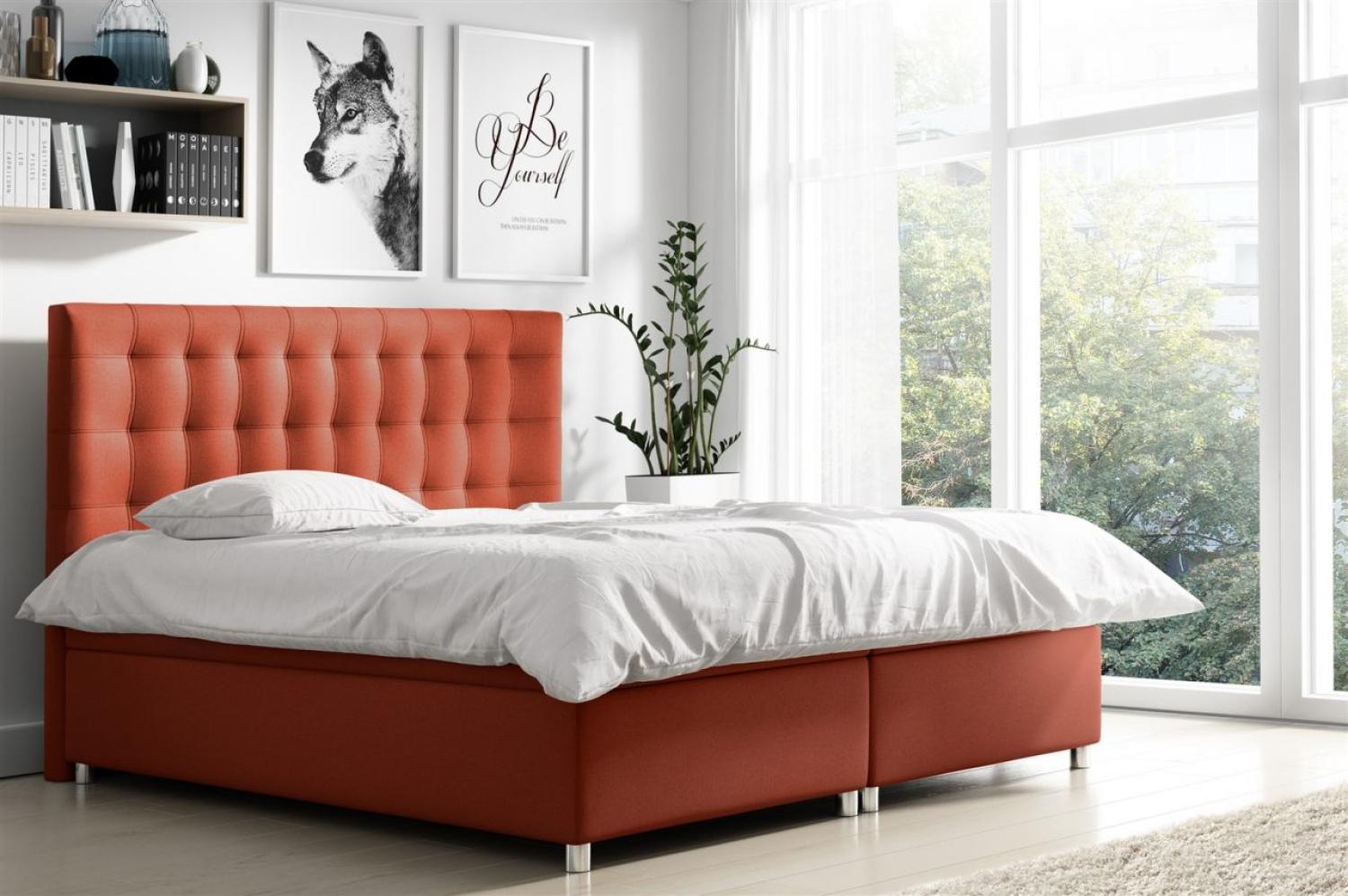 Boxspringbett ENZO Polyesterstoff Terra. 160x200cm Bild 1