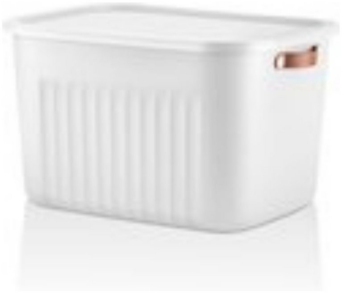 Luxury Bites Aufbewahrungsbox mit Deckel, 20L-15L -10L BPA-freie Kunststoff, nestbar und stapelbar (6 Farben, 9 Farbkombiationen, 3er Set) Bild 1