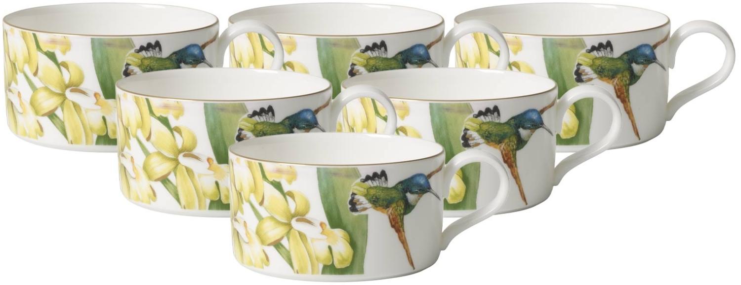 Villeroy & Boch Amazonia Teetasse 230 ml 6er Set - DS Bild 1