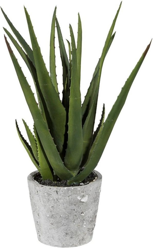 Künstliche Zimmerpflanze Aloe im Zementtopf Sukkulente, Creativ green, Höhe 40 cm Bild 1