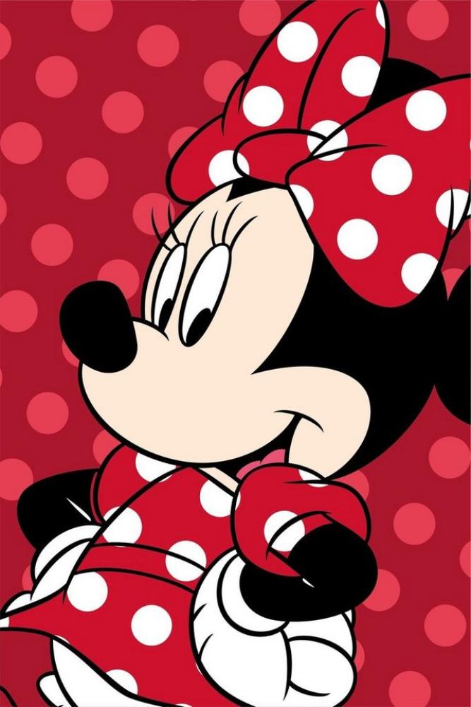 Wohndecke Minnie Mouse Flauschdecke Schmusedecke Kuscheldecke 100 x 150 cm, Jerry Fabrics Bild 1