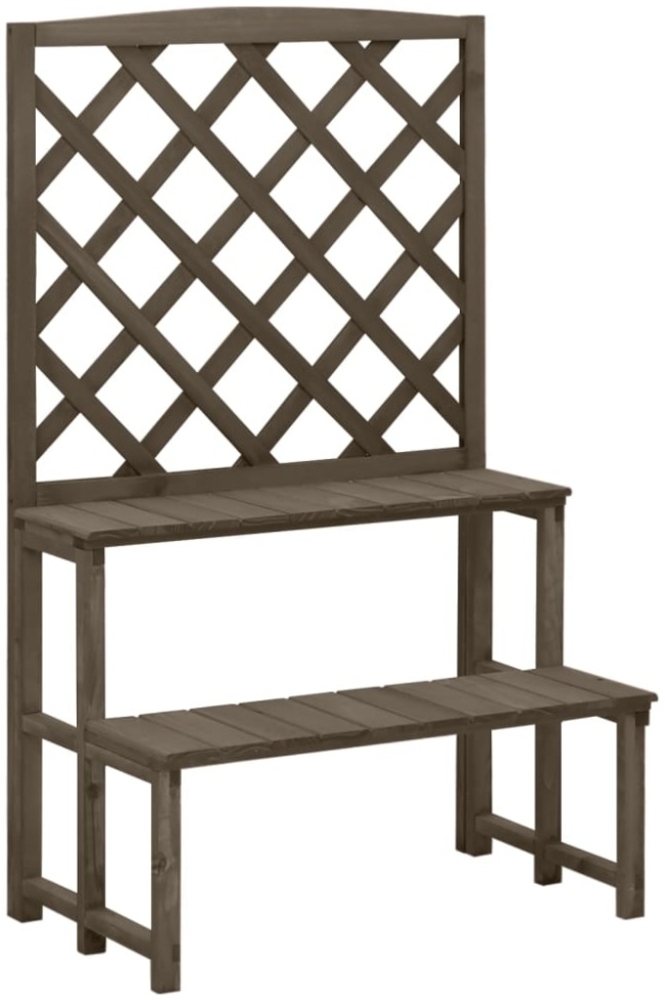 vidaXL Blumentreppe mit Rankgitter Grau 70x42x115cm Massivholz Tanne 316414 Bild 1