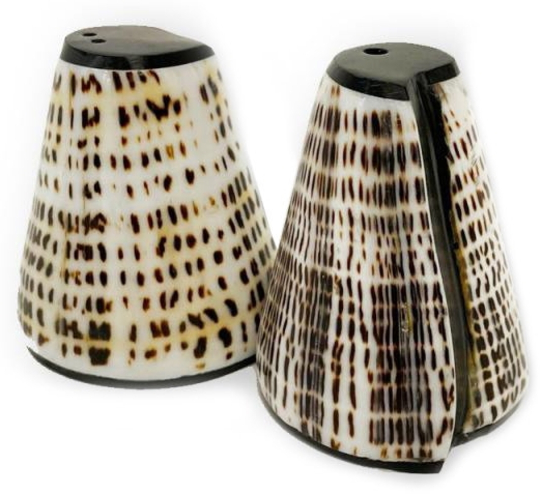 Die Salt & Peppa Shell - 2er-Set - Natürlich - 4x2x10cm Bild 1