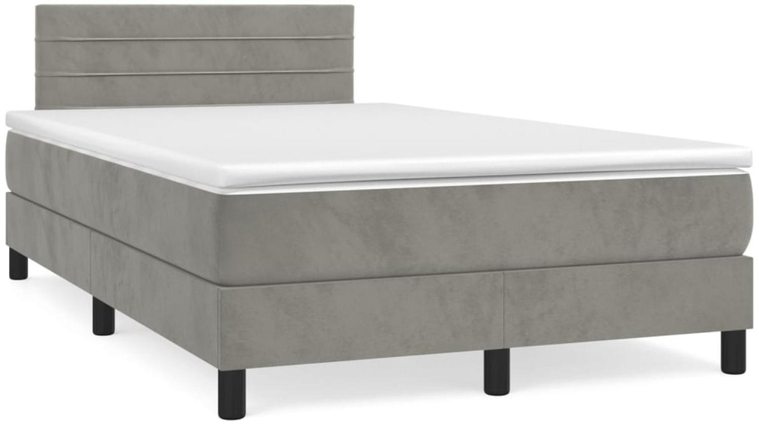 vidaXL Boxspringbett mit Matratze Hellgrau 120x200 cm Samt 3141353 Bild 1