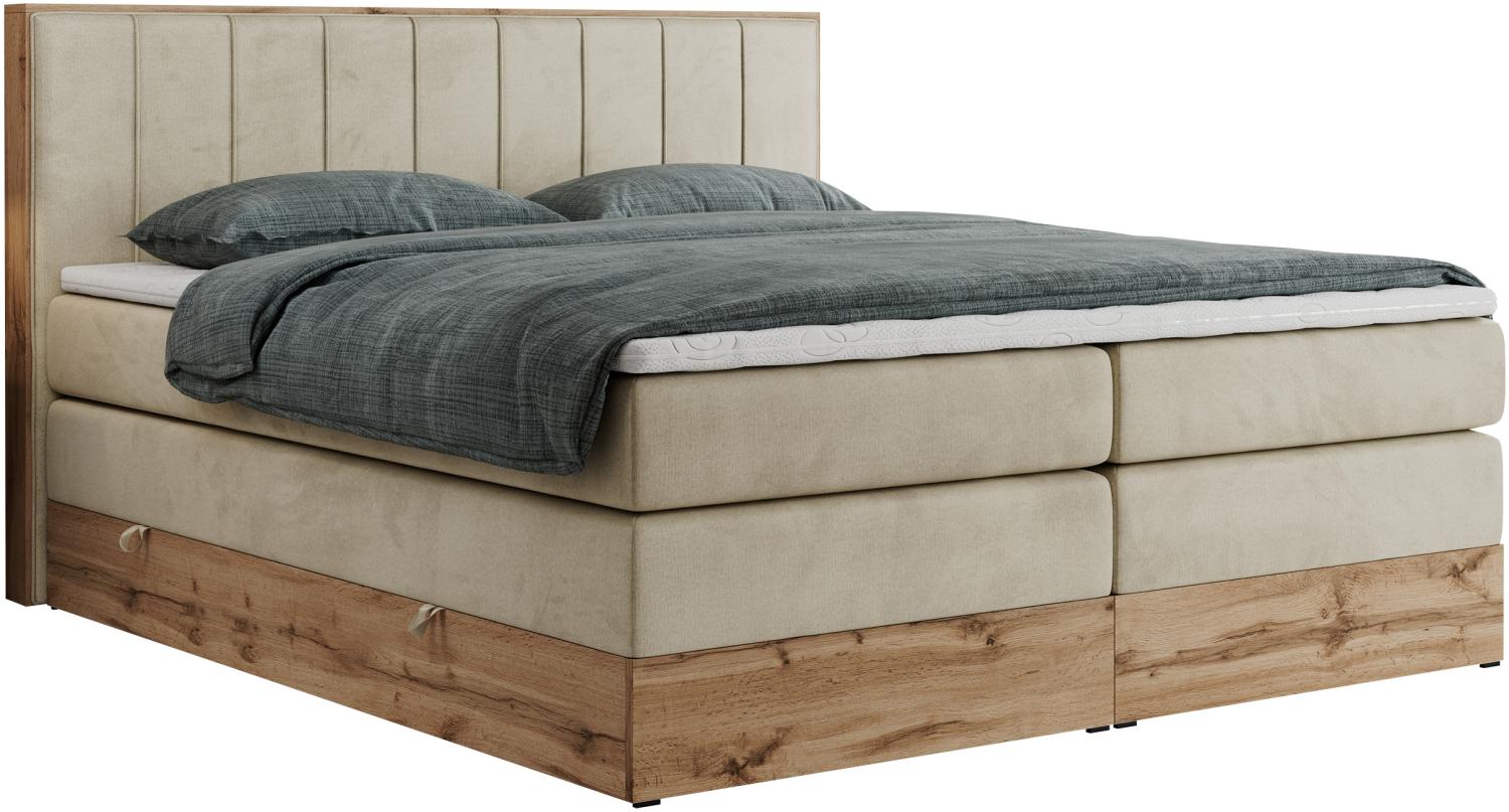 Boxspringbett BELLISSIMO KING, Doppelbett mit Multipocket-Matratze, Polsterbett mit Kopfstütze - 140 x 200 cm - Beige Velvet - H4 Bild 1