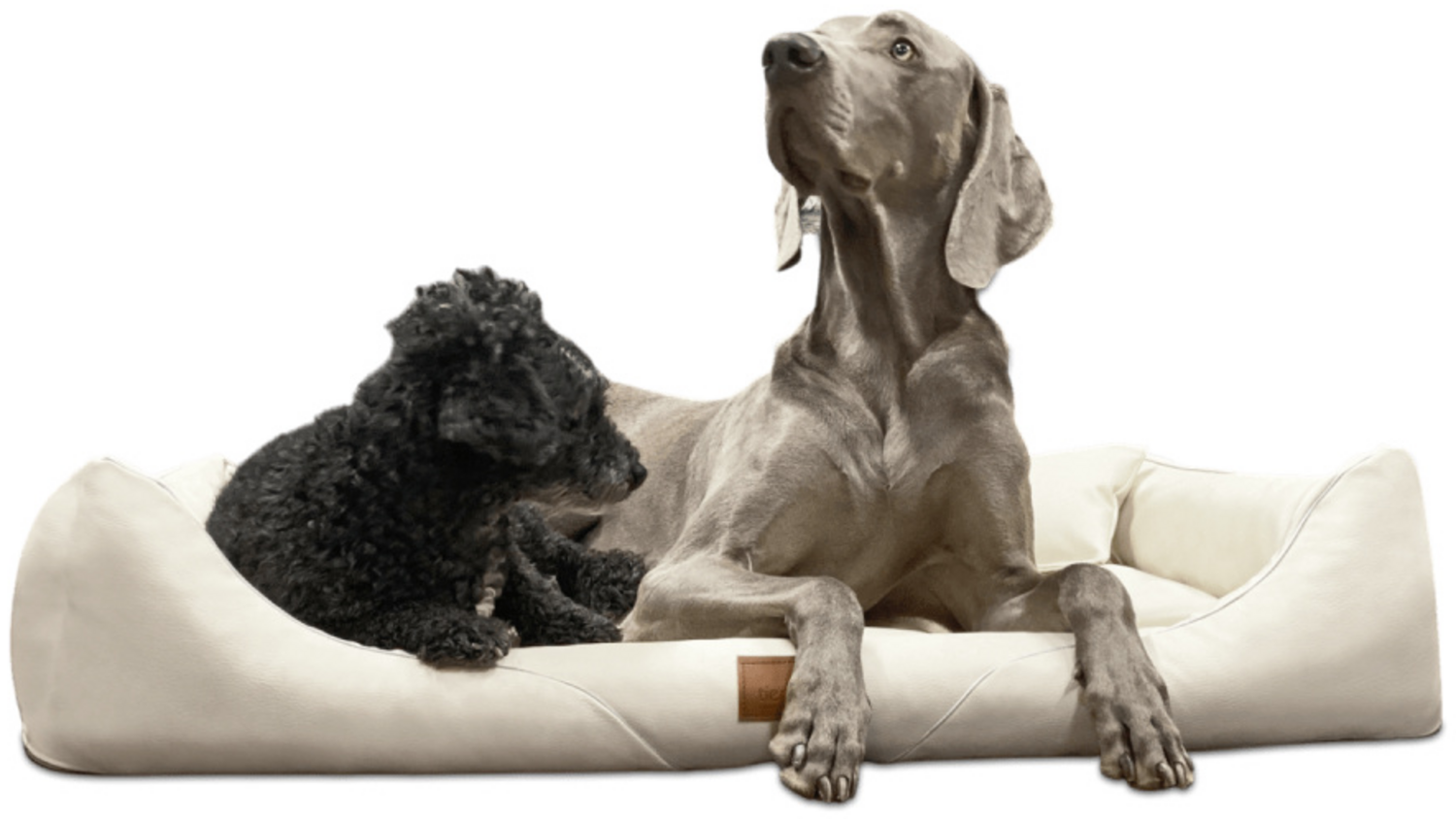 WILLIAM EASY CLEAN Orthopädisches Hundebett - 05 Creme, 130x100cm Bild 1