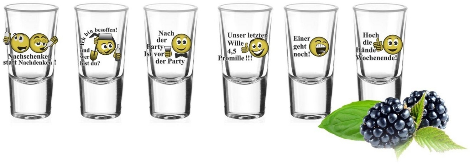 6 Schnapsgläser Tequilagläser mit Sprüchen Gläser Schnaps Shots Stamper Wodkaglä Bild 1
