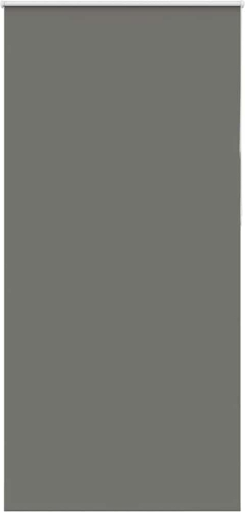 vidaXL Verdunkelungsrollo Grau 110x230cm Stoffbreite 105,7cm Polyester 4011208 Bild 1