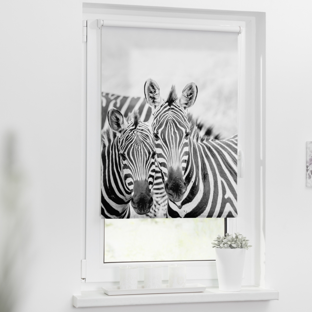 Lichtblick Motiv Rollo 150 cm x 45 cm (LxB) Zebra Bild 1