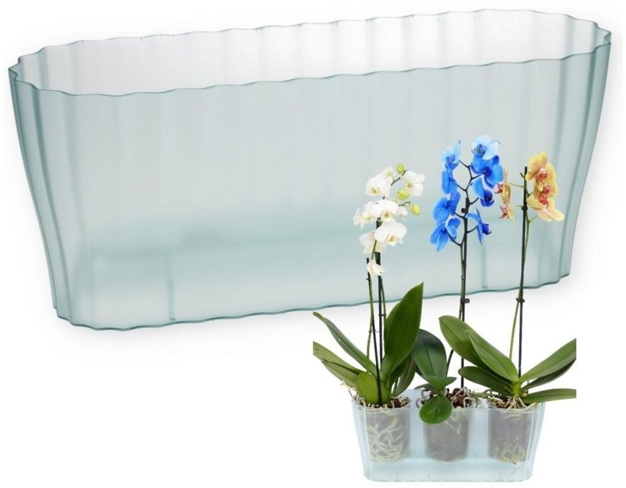 GarPet Blumentopf Orchideentopf Blumen Kasten Übertopf für mehrere Pflanzen durchsichtig Bild 1