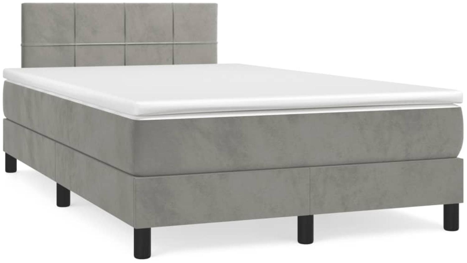 vidaXL Boxspringbett mit Matratze Hellgrau 120x190 cm Samt 3269837 Bild 1