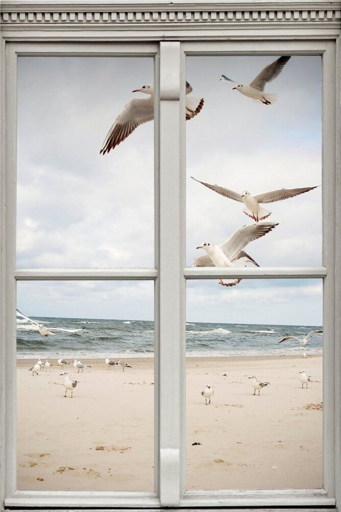 queence Wandsticker Möwen am Strand, Wandsticker, Wandbild, selbstklebend, 3D, Fenster Bild 1