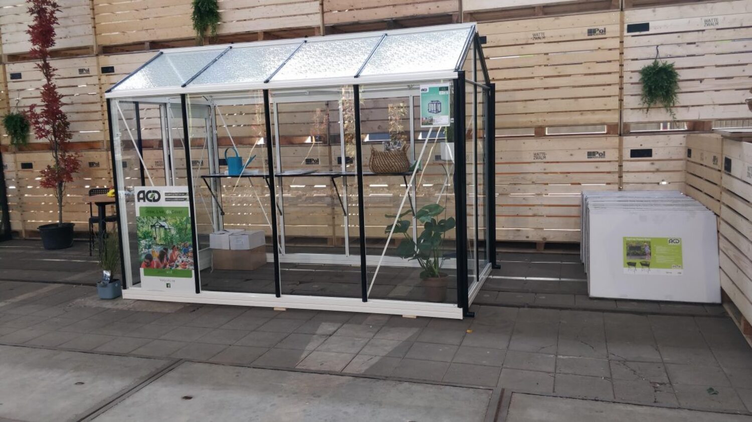 ACD Glas Gewächshaus Piccolo P05 RAL | 371x159 cm Bild 1