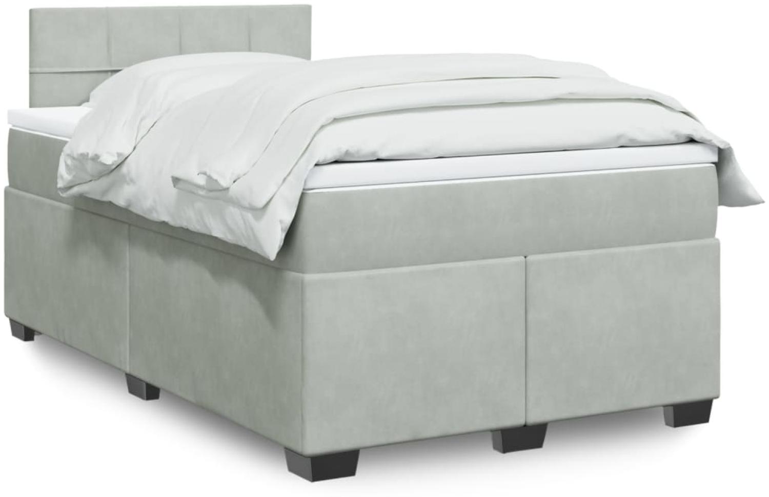 vidaXL Boxspringbett mit Matratze Hellgrau 120x200 cm Samt 3288582 Bild 1