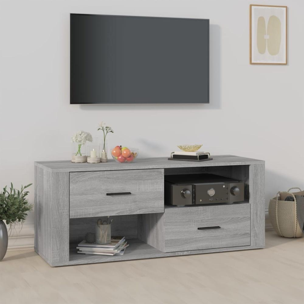 vidaXL TV-Schrank Grau Sonoma 100 x 35 x 40 cm Holzwerkstoff [823105] Bild 1