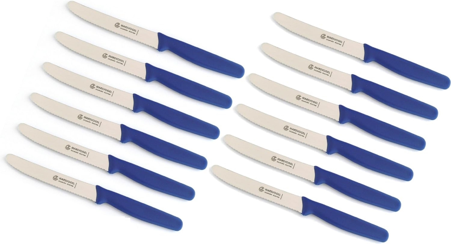 Marsvogel | Tischmesser | 12 Stück | blau | blaue PP-Griffe | Tafelmesser Menümesser Bild 1