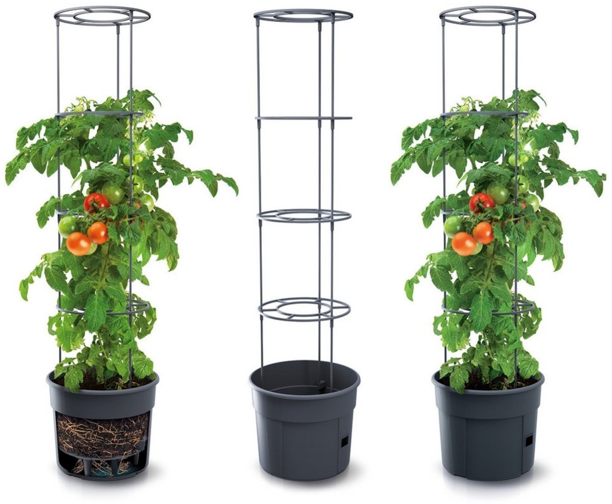 KAGM Pflanzkübel Blumenkübel Rankhilfe Blumentopf für Tomaten Tomatentopf 3er SET 28L (Tomatentopf, Rankhilfe) Bild 1