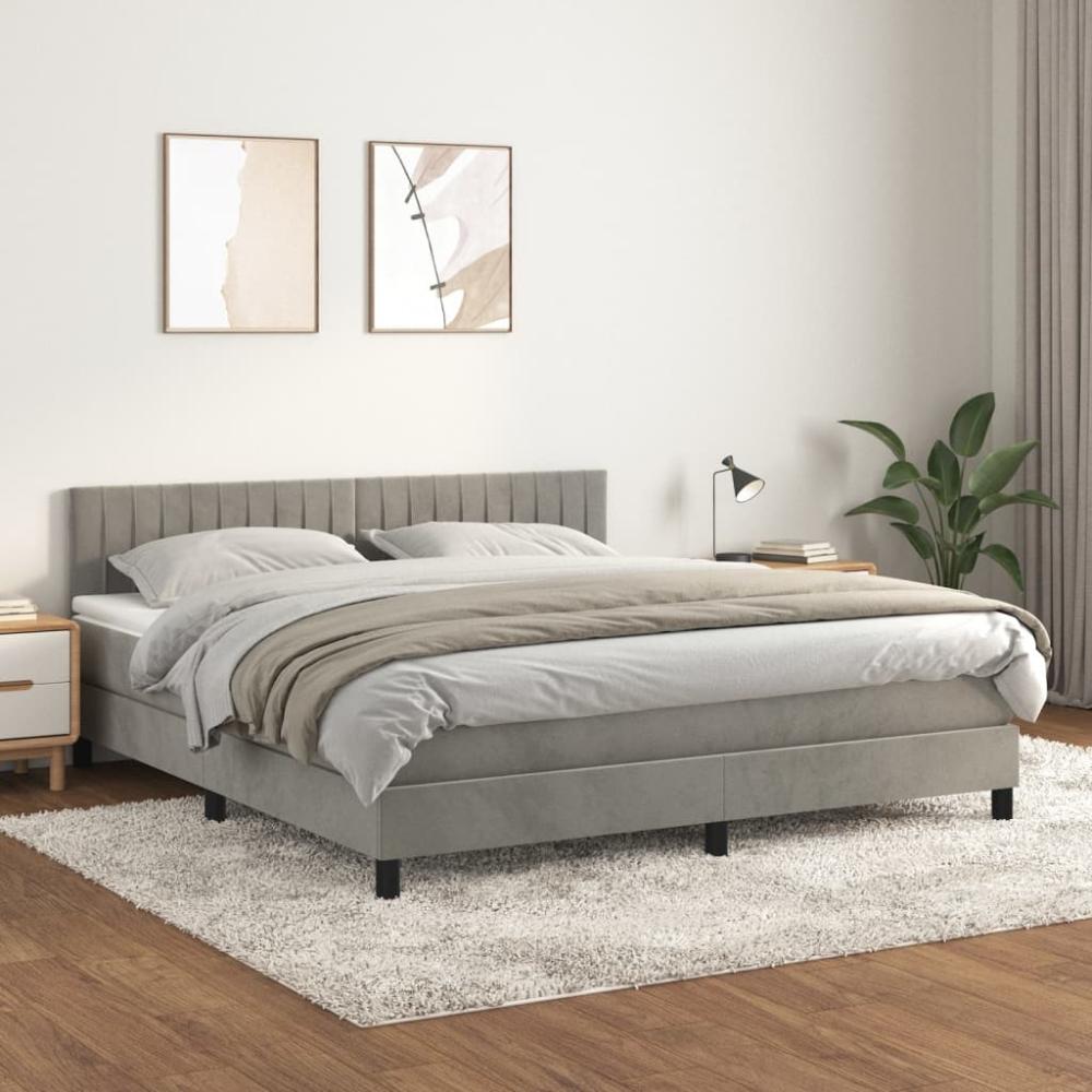 vidaXL Boxspringbett mit Matratze Hellgrau 160x200 cm Samt 3141431 Bild 1