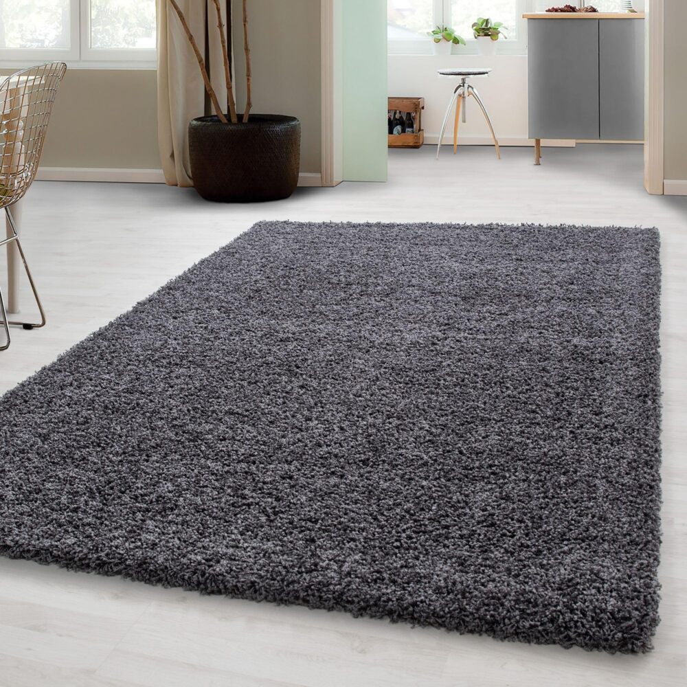 Carpetsale24 Shaggy Hochflor Teppich Wohnzimmer 300x400 cm Grau - Modern Flauschiger Teppich Extra Weich, Pflegeleicht und Einfarbig - Ideal als Teppich für Schlafzimmer, Esszimmer und Küche Bild 1