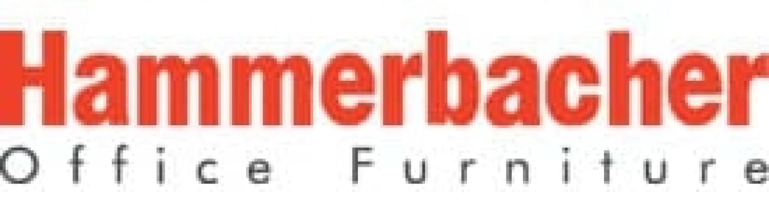 Sitz-Steh-Schreibtisch elektrisch XMST12 120x80cm Weiß Gestellfarbe: Silber Bild 1