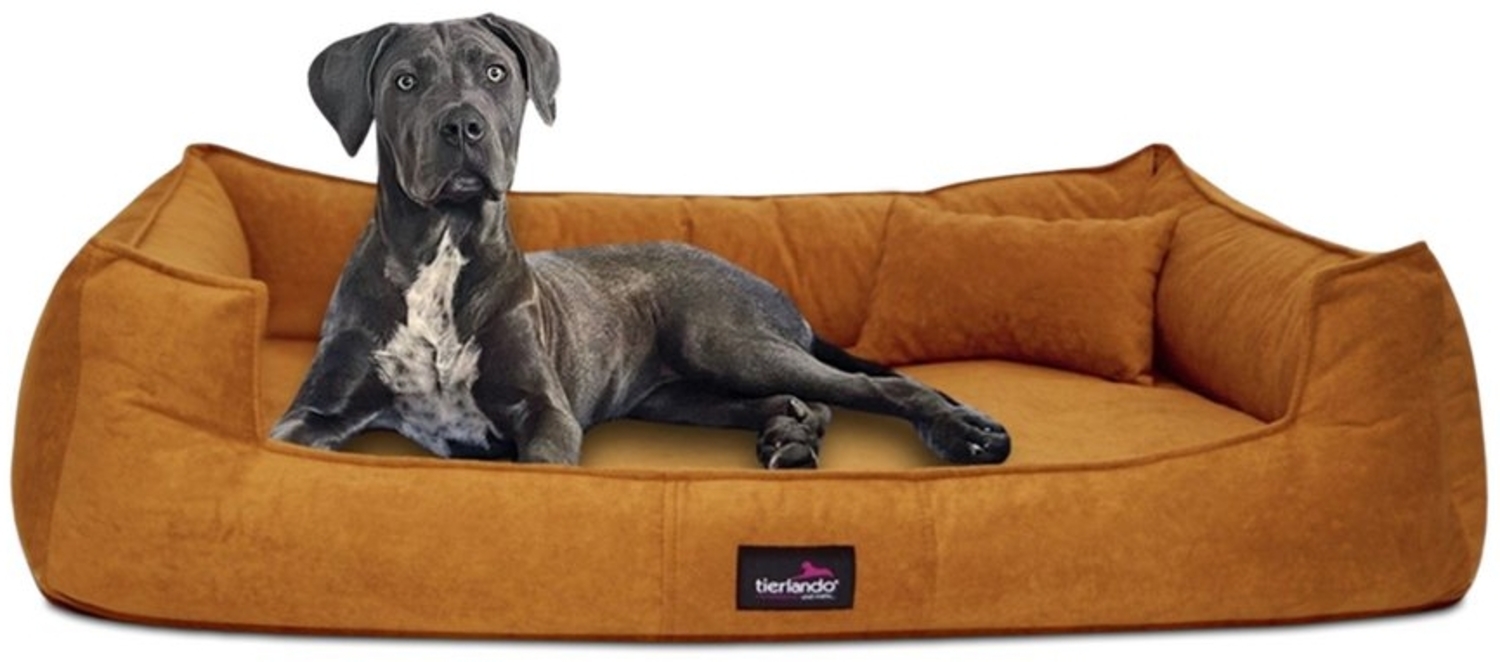 tierlando® Tierbett tierlando® Orthopädisches Hundebett BRUCE VELOURS Waschbar Große Hunde, orthopdisch, waschbar, samtweich Bild 1