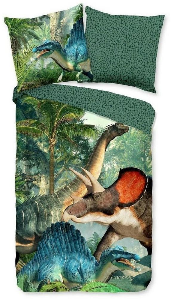 TRAUMSCHLAF Bettwäsche Dinos, Renforce, 2 teilig, jugendliches Design mit Dinosauriern Bild 1