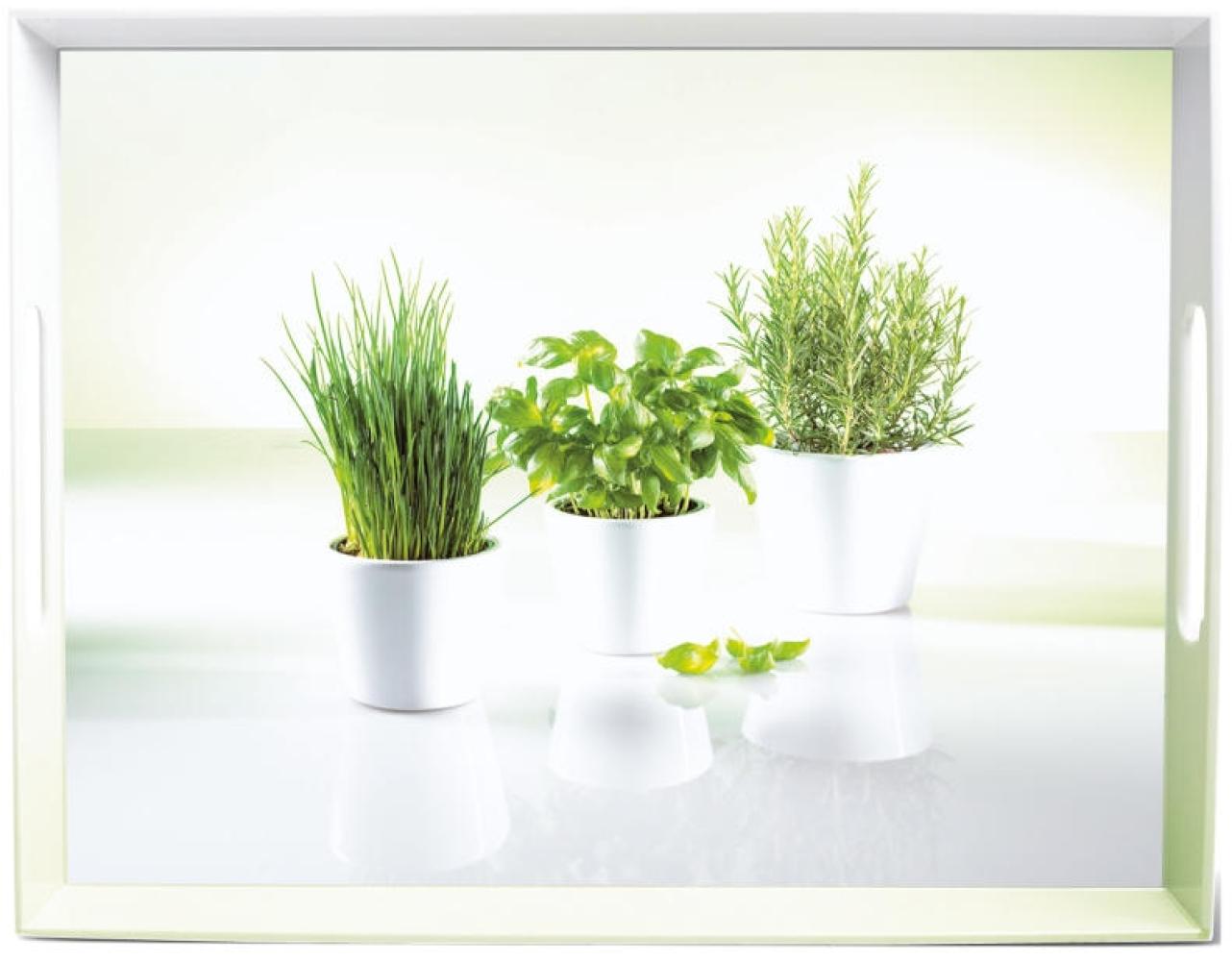 Emsa Tablett. ca. 50x37 cm Bild 1