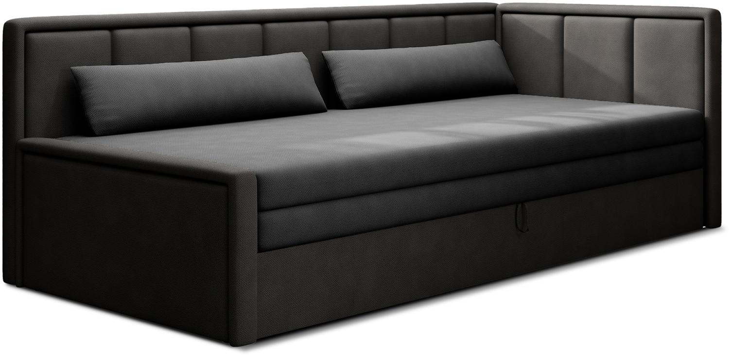 Fulgeo, Sofa, Couch, Grau Bild 1