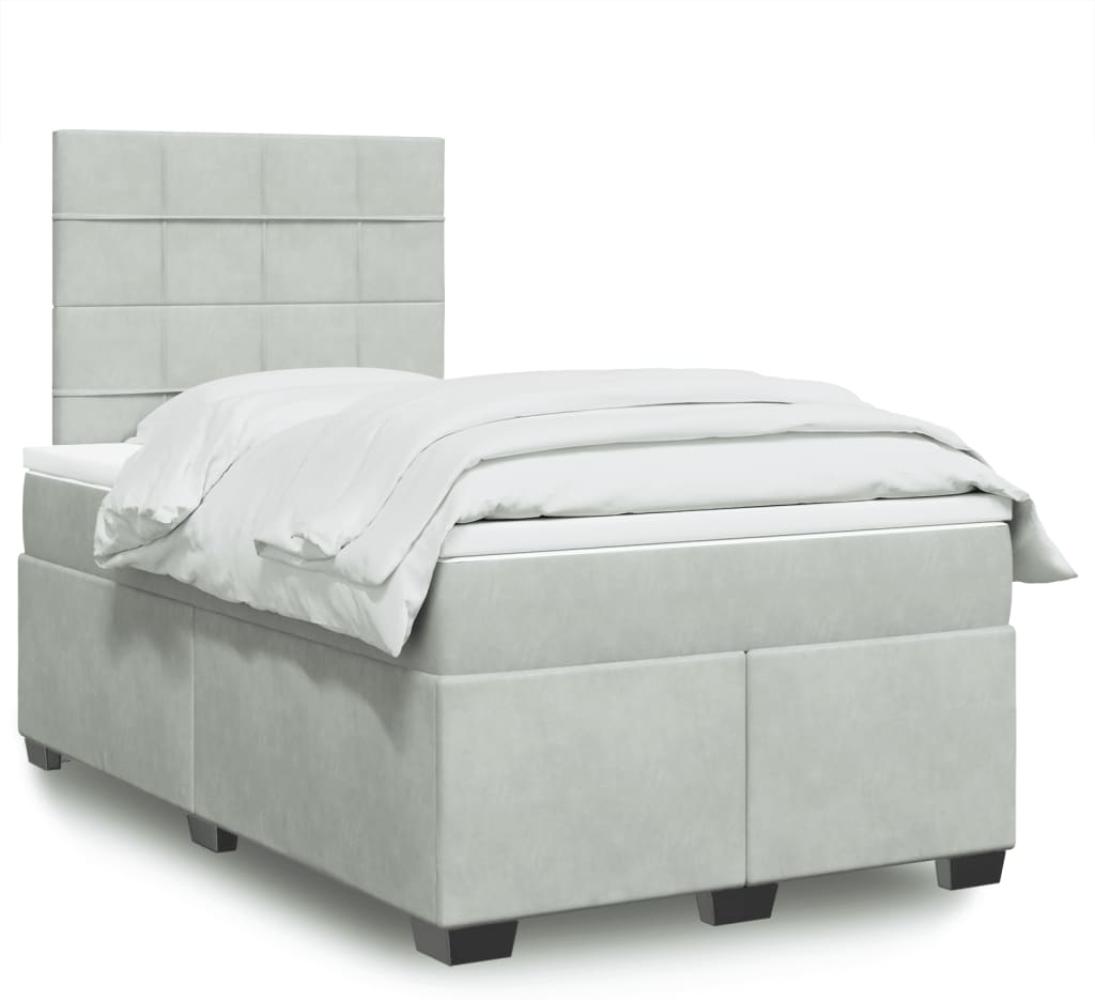 vidaXL Boxspringbett mit Matratze Hellgrau 120x200 cm Samt 3293182 Bild 1