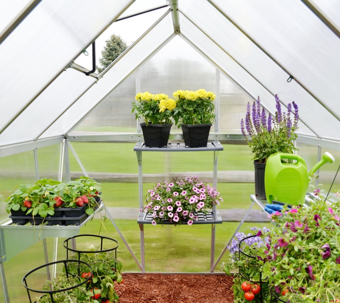 Palram - Canopia Aluminium Gewächshaus Mythos 614 Bild 1