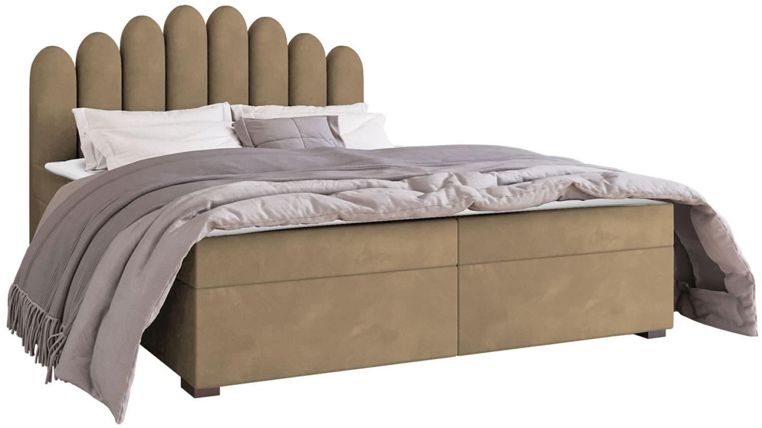 Mirjan24 	Boxspringbett Tosian, Beige, 160 x 200 cm Bild 1