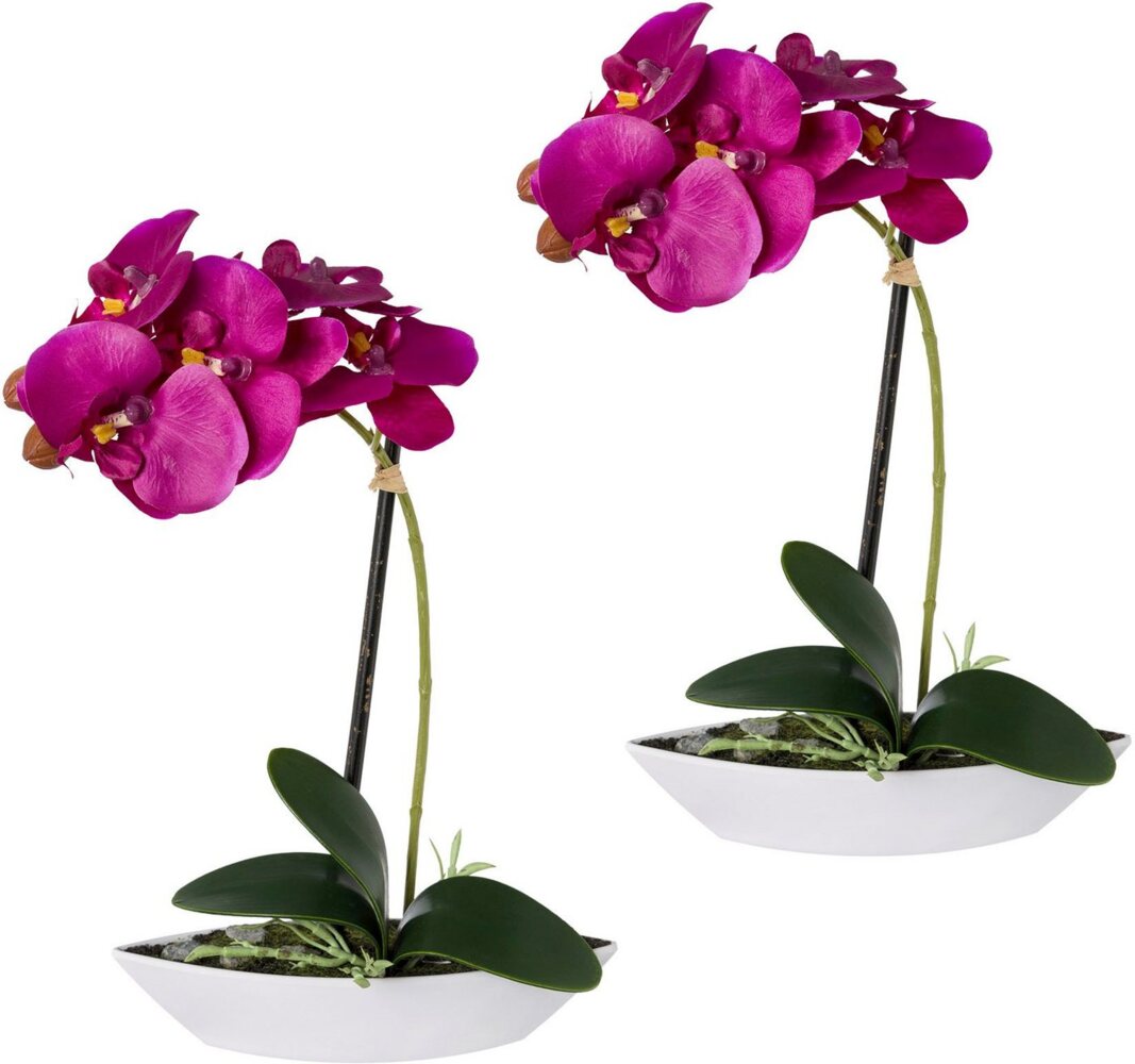 Kunstorchidee Phalaenopsis, Creativ green, Höhe 30 cm, 2er Set, in Kunststoffschale Bild 1