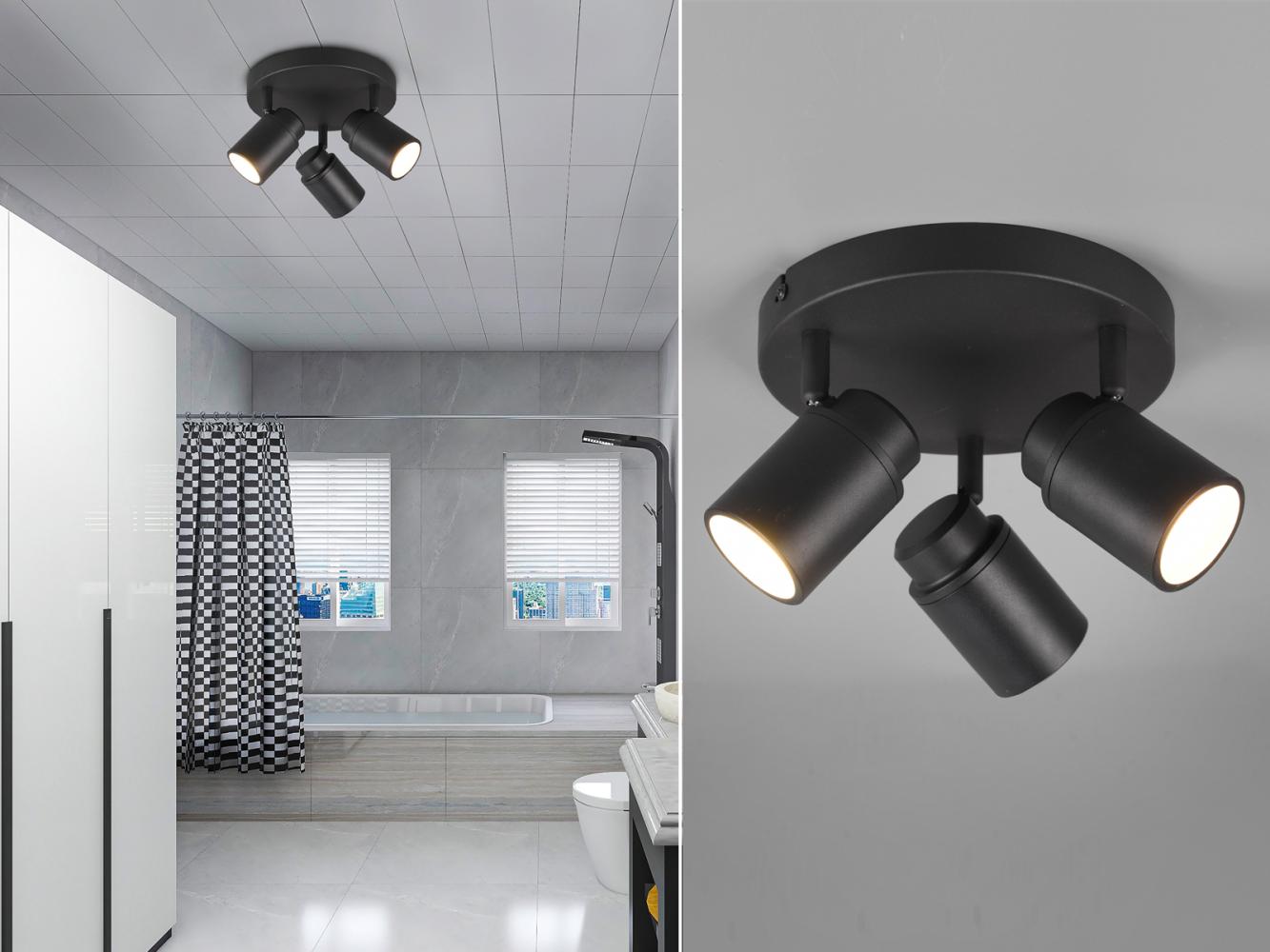 TRIO Leuchten LED Deckenstrahler, Dimmfunktion, LED wechselbar, Warmweiß, Badezimmer-lampen Decke, Bad-lampen für Gäste WC & Treppenhaus, Ø20cm Bild 1