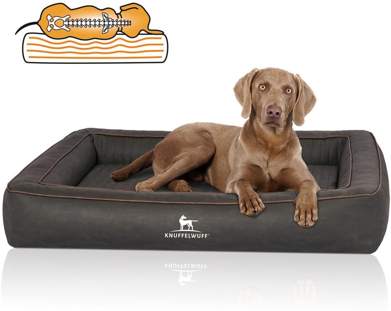 Knuffelwuff Tierbett Hundebett Montego, Orthopädisch Bild 1