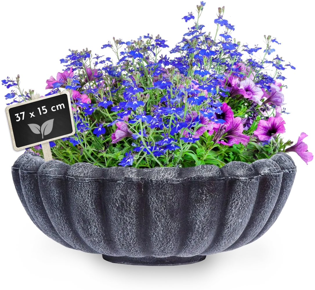 Pflanzschale MARGARITE, grau, Größe S Bild 1