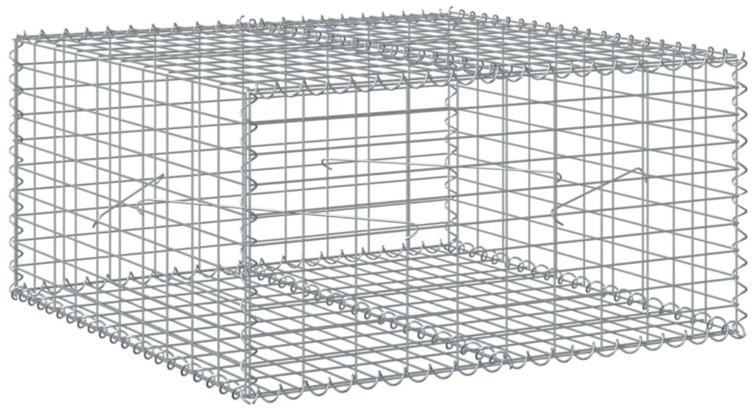 vidaXL Gabione mit Deckel 100x100x50 cm Verzinktes Eisen 3295178 Bild 1