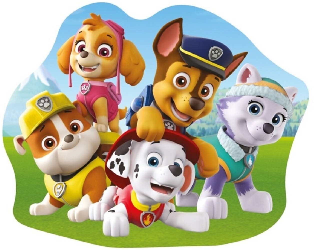 Paw Patrol Kissen Premium Dekokissen mit beidseitigem Digitaldruck Bild 1