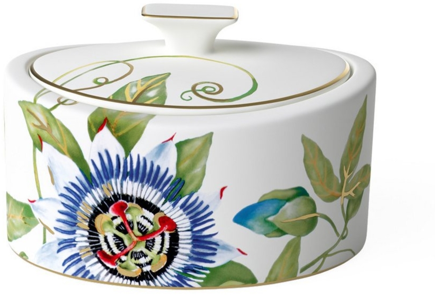 Villeroy & Boch Signature Amazonia Gifts Porzellandose A U S L A U F ! Bild 1