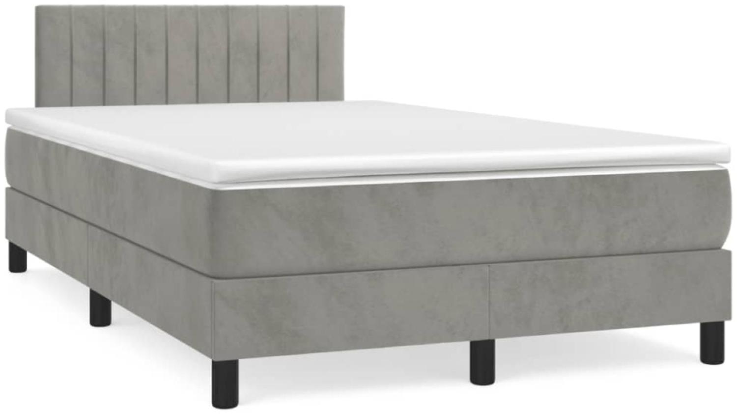 vidaXL Boxspringbett mit Matratze Hellgrau 120x190 cm Samt 3269849 Bild 1