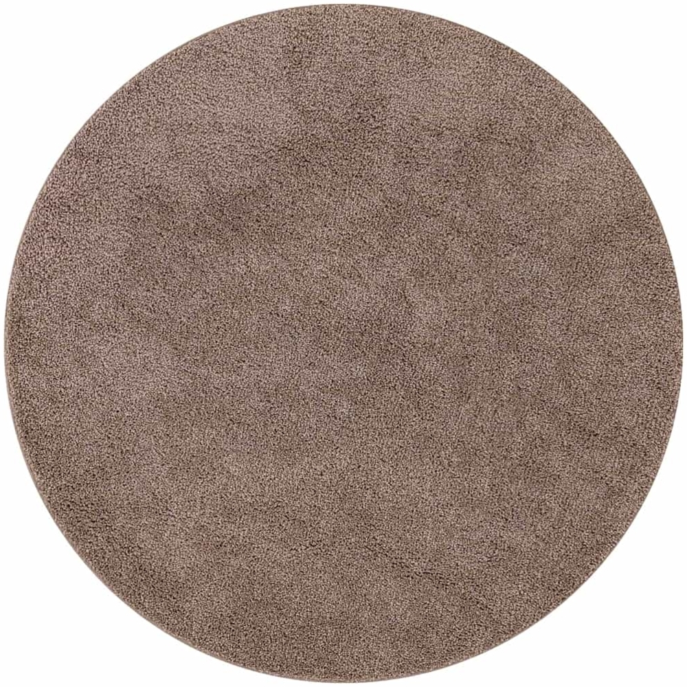 vidaXL Teppich Braun 160 x 160 cm Polypropylen 4019801 Bild 1