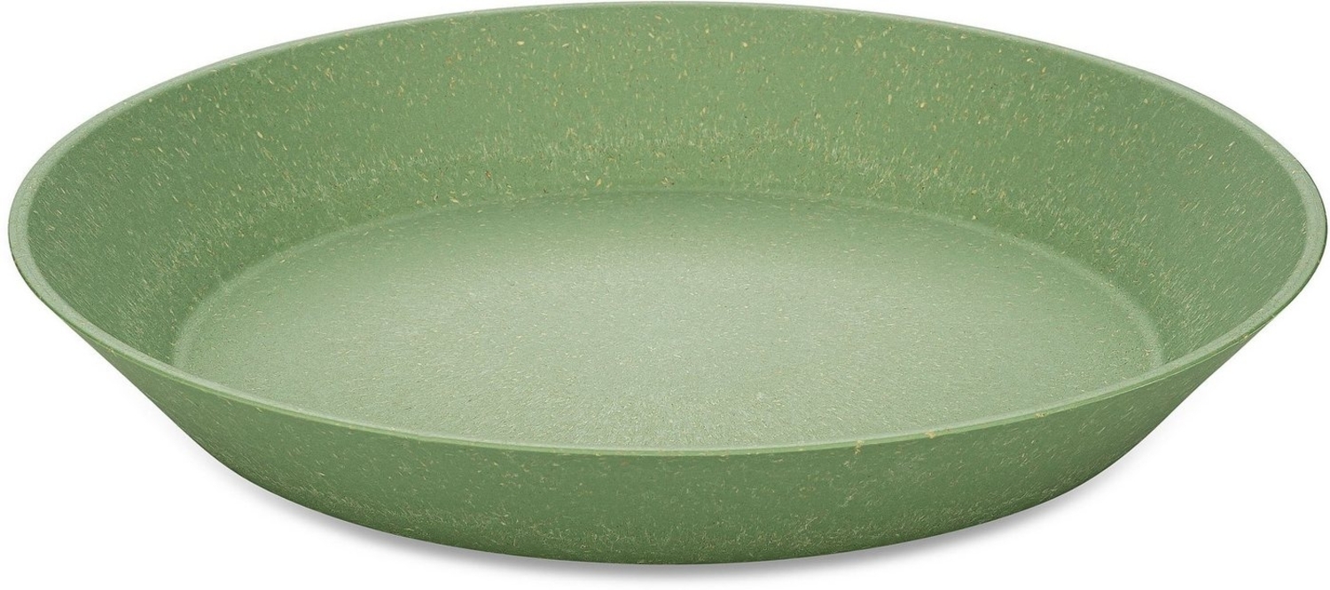 Koziol Tiefer Teller 4er-Set Connect Plate, Suppenteller, Schalen, Kunststoff-Holz-Mix, Nature Leaf Green, 24 cm, 7143703 Bild 1