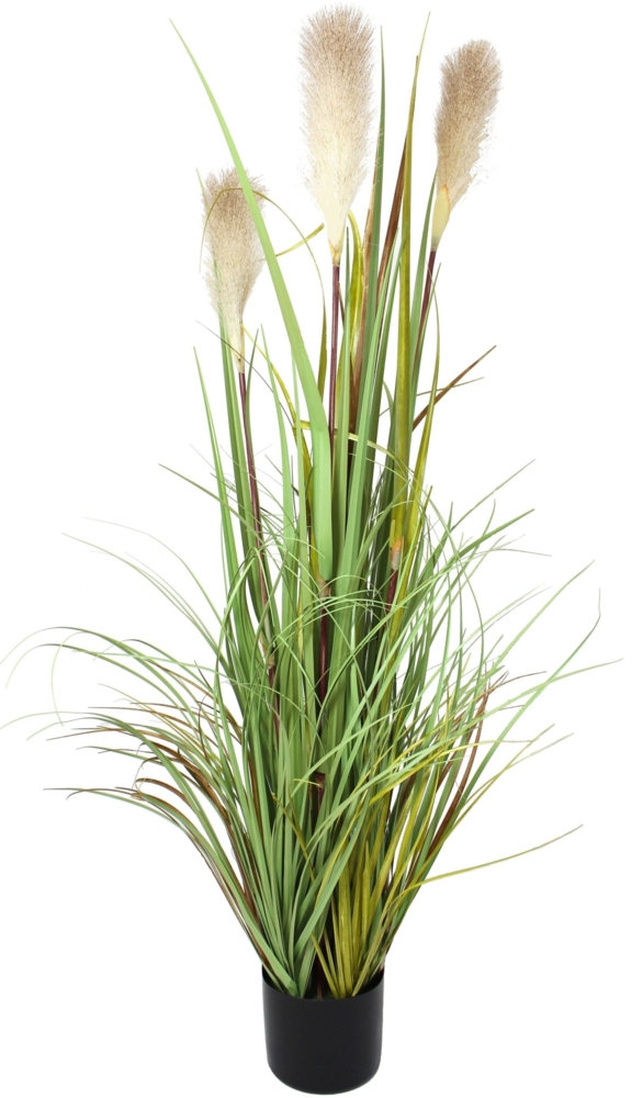 Topfpflanze Uferschilf Schilfgras Zierpflanze Ziergras künstlich Schilf Gras Bild 1