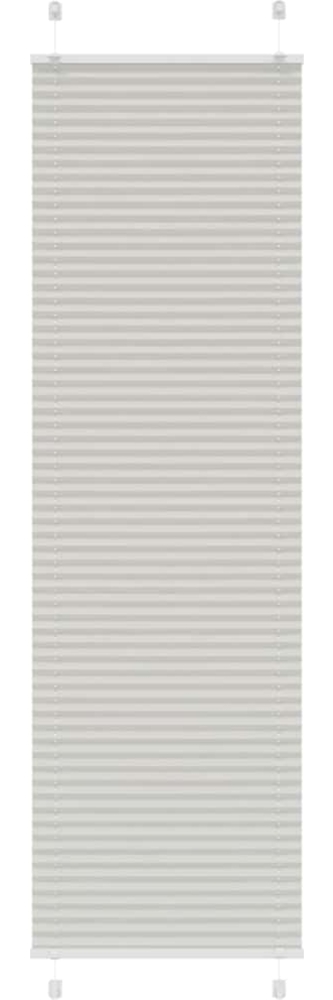 vidaXL Plissee Hellgrau 55x200 cm Stoffbreite 54,4 cm Polyester 4015355 Bild 1