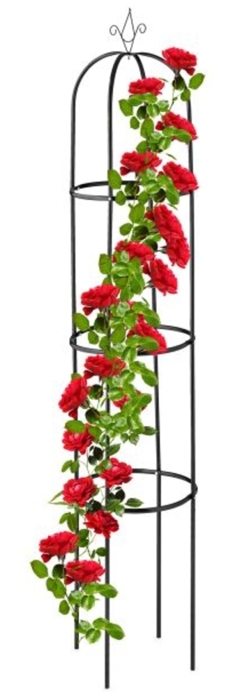 Runde Rankhilfe schwarz Bild 1