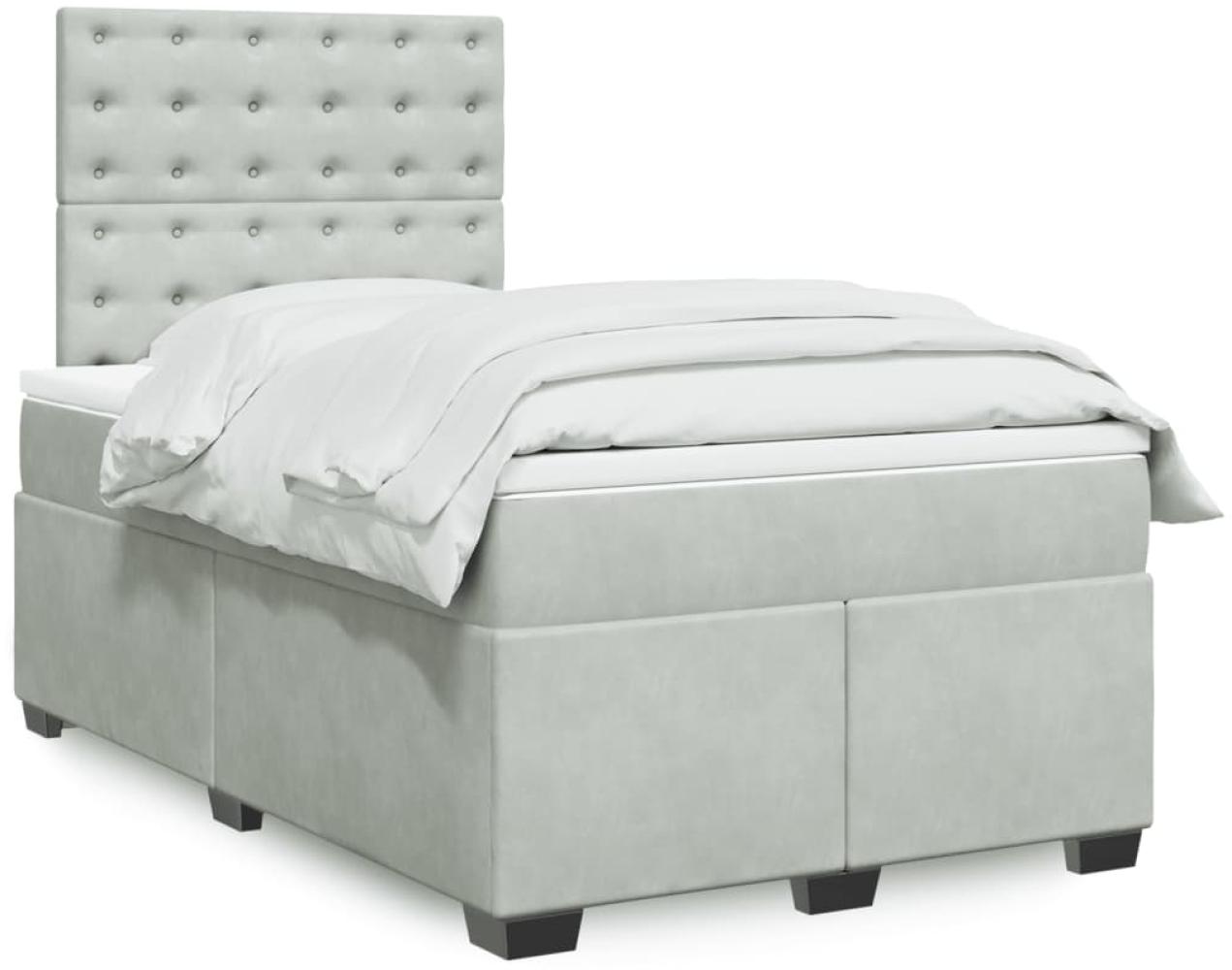 vidaXL Boxspringbett mit Matratze Hellgrau 120x200 cm Samt 3290894 Bild 1