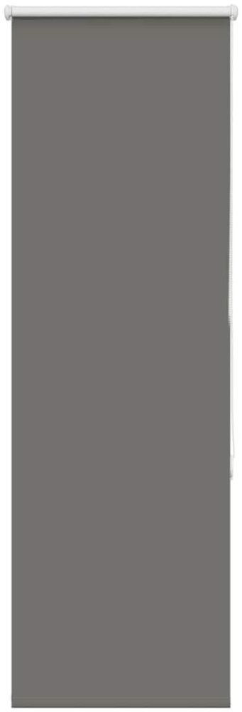 vidaXL Verdunkelungsrollo Grau 50x175 cm Stoffbreite 45,7 cm Polyester 4011144 Bild 1