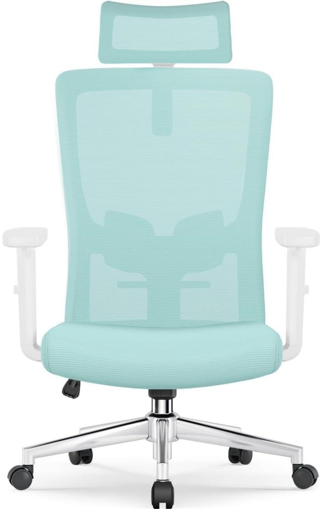 Ergonomischer Bürostuhl mit Verstellbarer Lendenwirbelstütze, Armlehnen und Bild 1