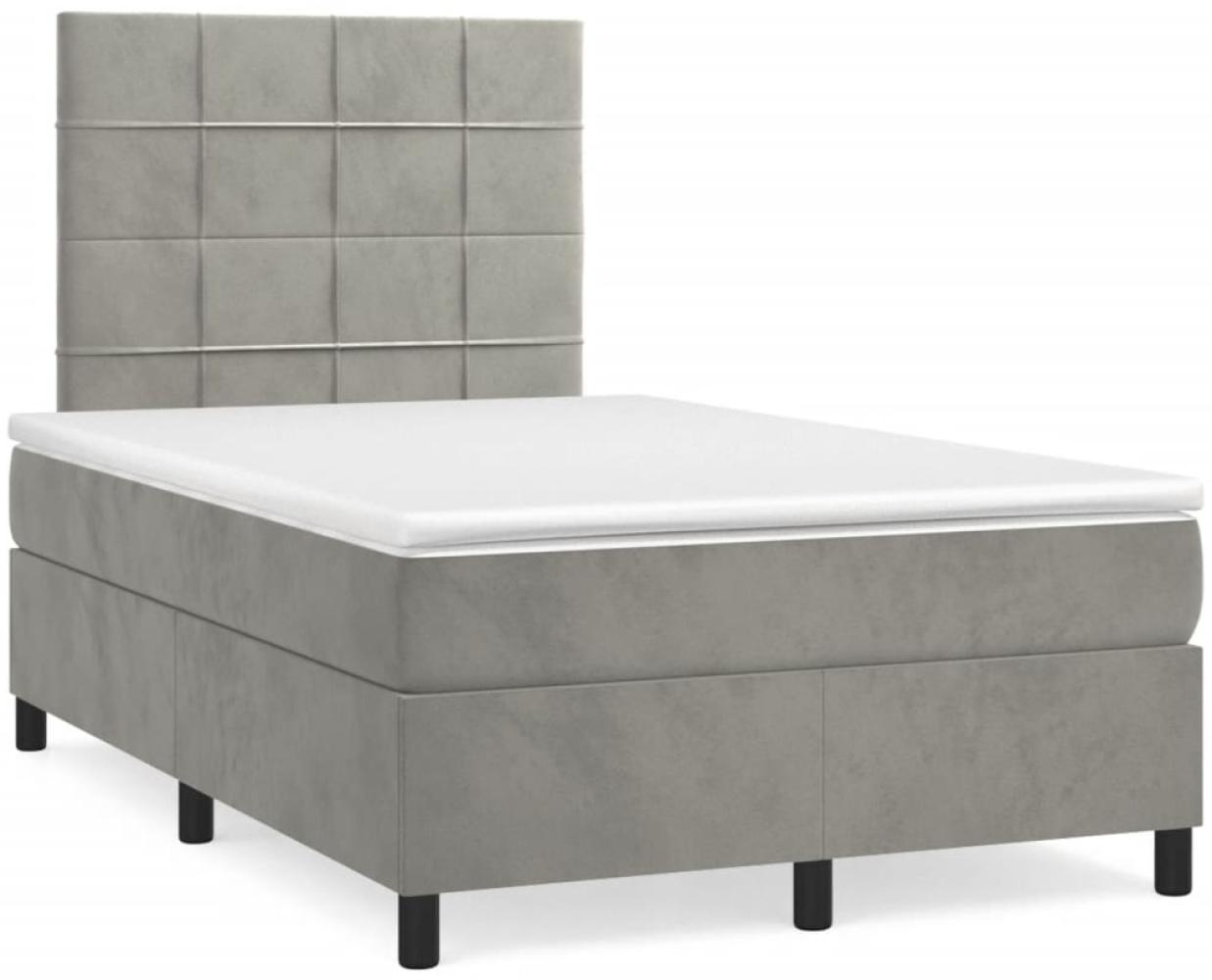 vidaXL Boxspringbett mit Matratze Hellgrau 120x190 cm Samt 3269995 Bild 1