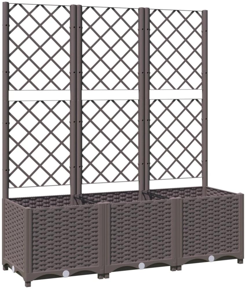 vidaXL Pflanzkübel mit Rankgitter Braun 120x40x136 cm PP 318263 Bild 1