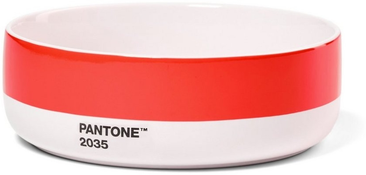 PANTONE Geschirr-Set, Copenhagen Design PANTONE Porzellan Schale für Müsli oder Suppen Bild 1